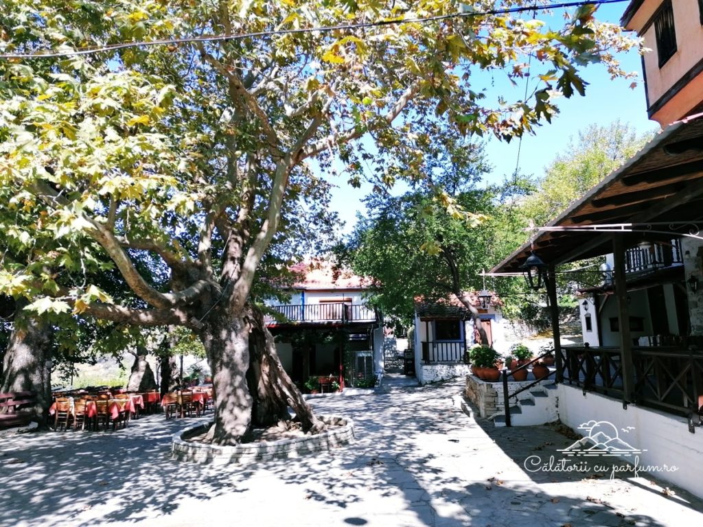 taverna Kazaviti centru