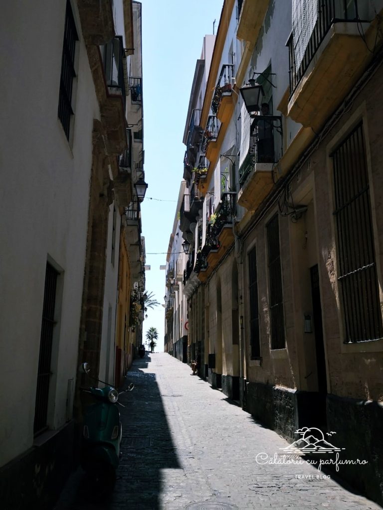 Virgeorasul vechi Cadiz n de la Palma